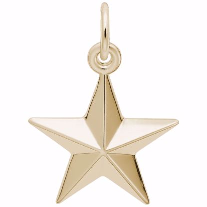 Picture of Star Charm Pendant - 14K Gold