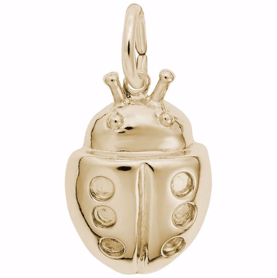 Picture of Ladybug Charm Pendant - 14K Gold