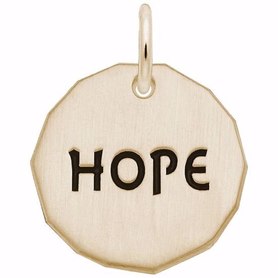 Picture of Hope Charm Tag