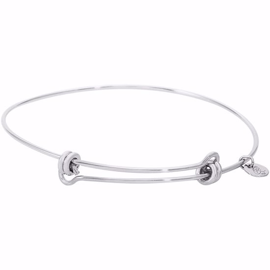 Picture of Balanced Bangle By Rembrandt Charms
